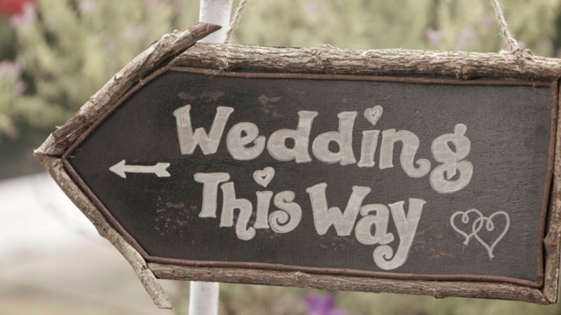 Synergy & Summers&nbsp;End