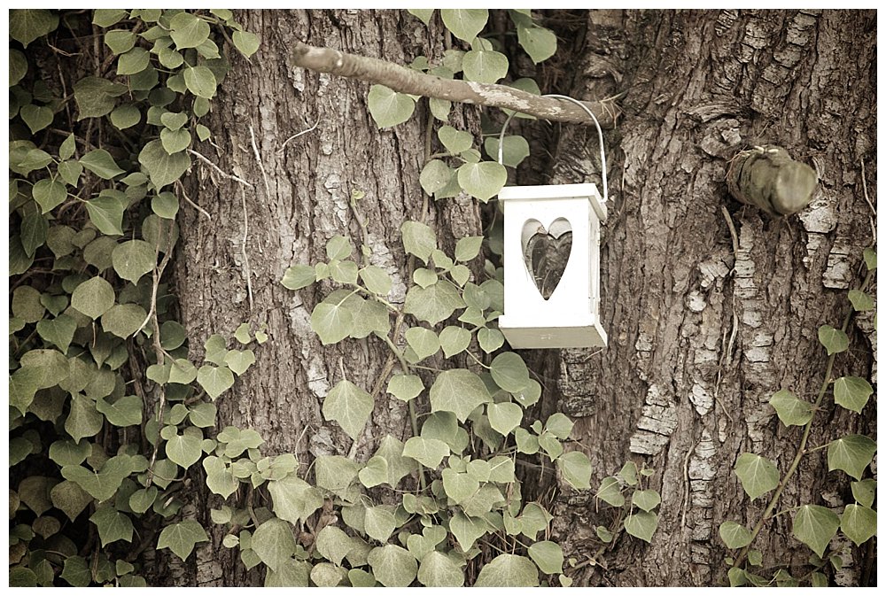 Claire&Daniel_Gallery002