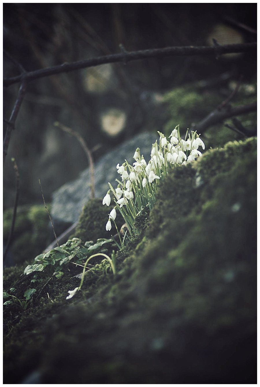 Donegal Wedding Photography11