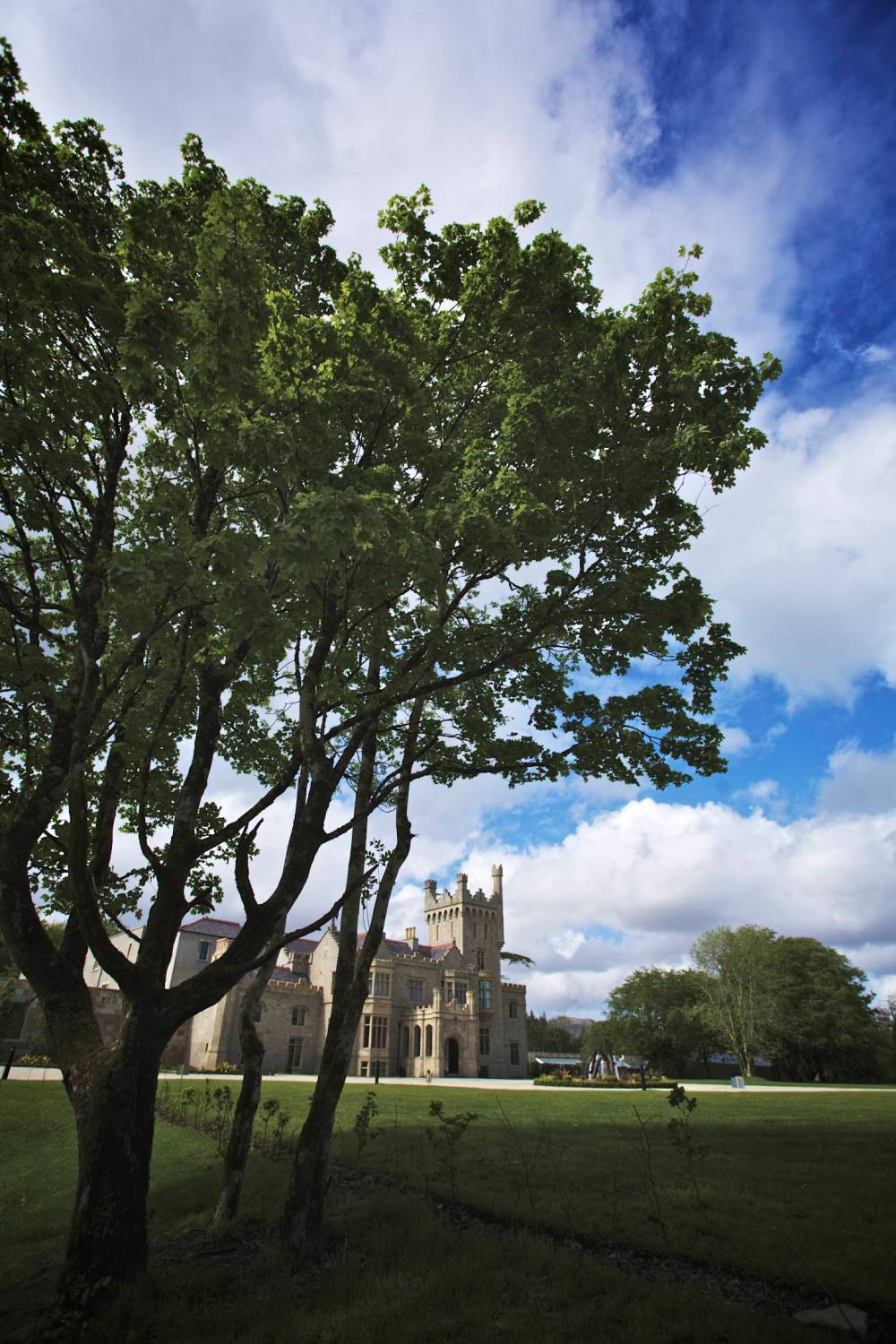 A wedding at Solis Lough Eske Castle