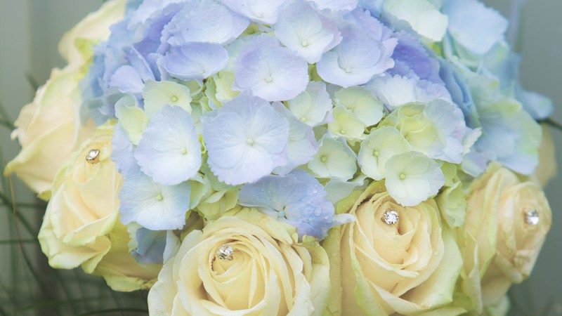 Show up, shut up and&nbsp;shoot